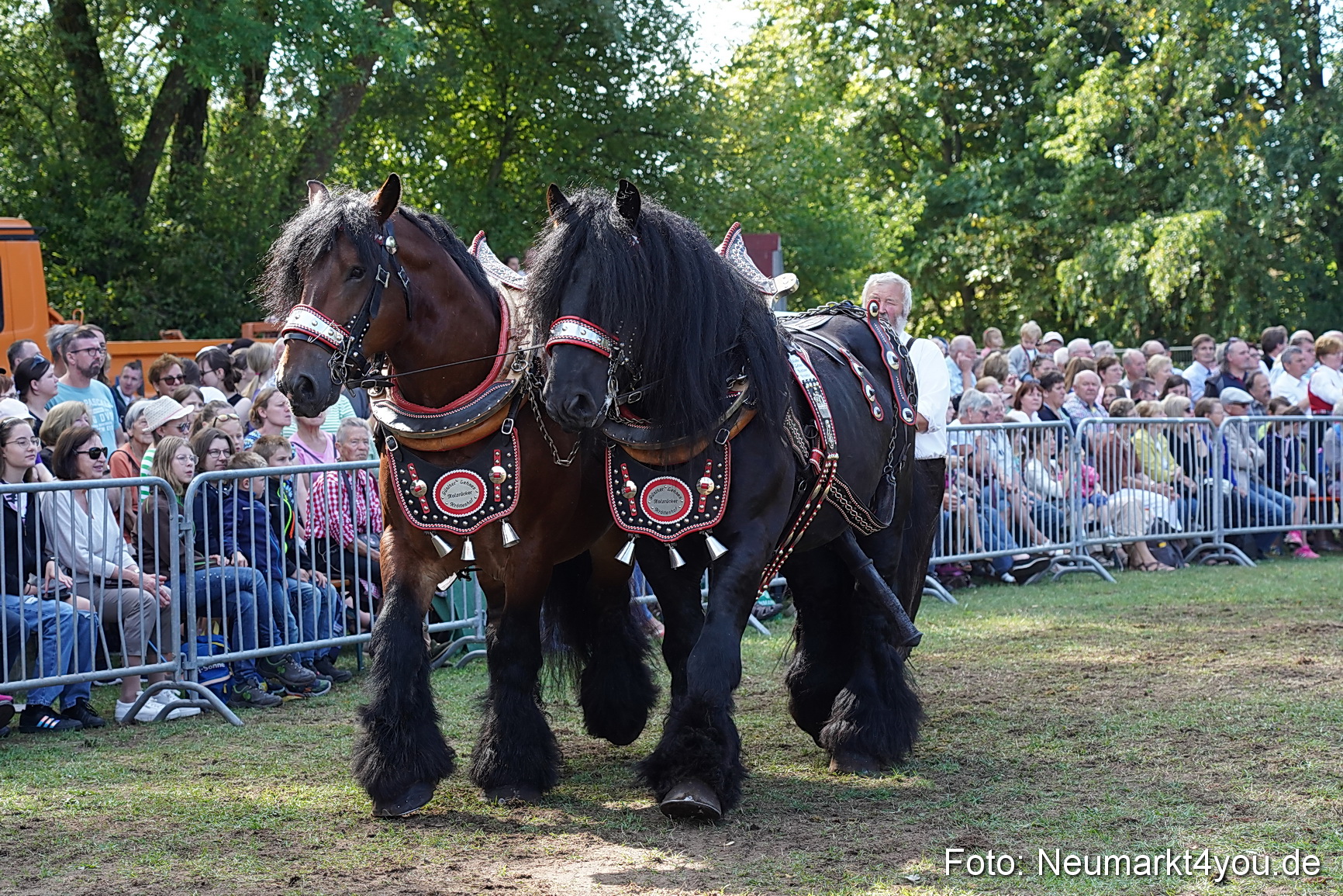 Pferde und Fohlenschau 2022 0185 